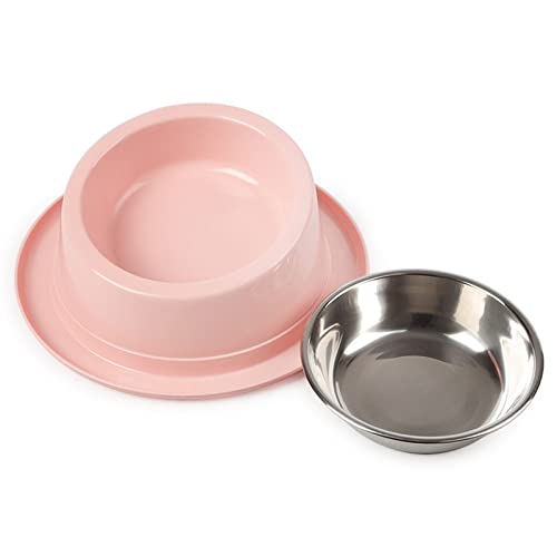 FUUIE Bowls for Food and Water 15 Tilt Pet Bowl Stainless Steel Pet Non-Slip Bowl (Color : Blue)