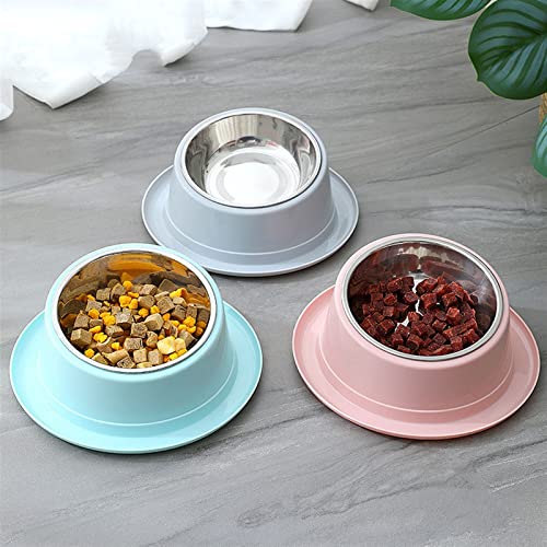 FUUIE Bowls for Food and Water 15 Tilt Pet Bowl Stainless Steel Pet Non-Slip Bowl (Color : Blue)