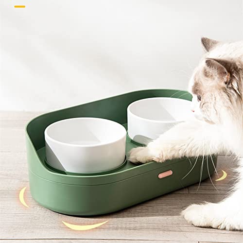 FUUIE Bowls for Food and Water Cat Bowl 2 in 1 Cat Multilayer Bowl Pet Water Food Feeding Double Bowls with Storage for Dring Feeding Neck Protection Feeder (Color : Green)