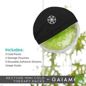 Gaiam Mini Cold Therapy Ice Packs for Injuries, Post-Workout Recovery, and Pain Relief - Includes 2 Cold Packs, 1 Pouch, 5 Adhesive Stickers, and 1 Freezer Bag - Convenient and Reusable