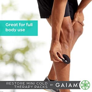 Gaiam Mini Cold Therapy Ice Packs for Injuries, Post-Workout Recovery, and Pain Relief - Includes 2 Cold Packs, 1 Pouch, 5 Adhesive Stickers, and 1 Freezer Bag - Convenient and Reusable