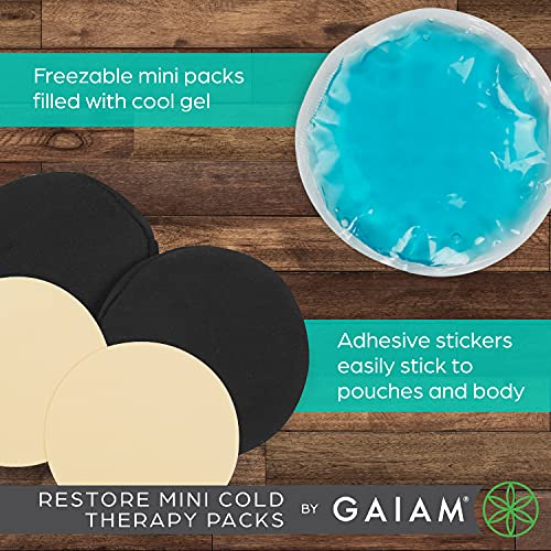 Gaiam Mini Cold Therapy Ice Packs for Injuries, Post-Workout Recovery, and Pain Relief - Includes 2 Cold Packs, 1 Pouch, 5 Adhesive Stickers, and 1 Freezer Bag - Convenient and Reusable