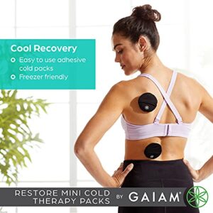 Gaiam Mini Cold Therapy Ice Packs for Injuries, Post-Workout Recovery, and Pain Relief - Includes 2 Cold Packs, 1 Pouch, 5 Adhesive Stickers, and 1 Freezer Bag - Convenient and Reusable