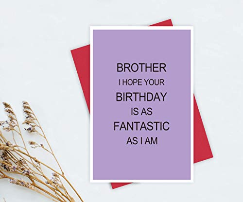 Birthday Card for Brother, Funny Brother Birthday Card, Brother I Hope Your Birthday Is As Fantastic As I Am