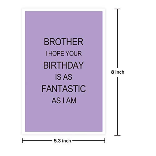 Birthday Card for Brother, Funny Brother Birthday Card, Brother I Hope Your Birthday Is As Fantastic As I Am