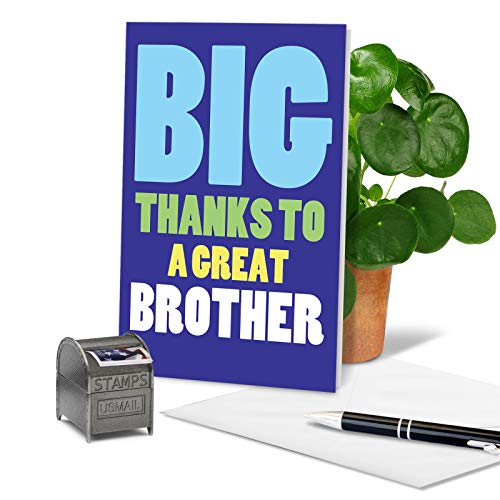 NobleWorks - 1 Thank You Card for Brother - Gratitude and Thanks for Sibling, Stationery Greeting - Great Brother C3238BXG