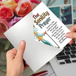 NobleWorks - 1 Funny Happy Birthday Notecard - Old Man Humor Greeting Card with Envelope - Man's Senility Prayer C9348BDG