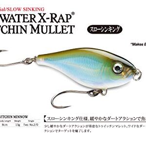 Rapala SXRTM08MM X-Rap Twitchin' Mullet Mangrove Minnow, 08