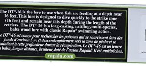Rapala Dives-to 16 Live DT16RSL: Dives-to 16 Live River Shad, One Size