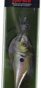 Rapala Dives-to 16 Live DT16RSL: Dives-to 16 Live River Shad, One Size
