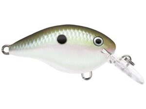 dives-to 10 green gizzard shad