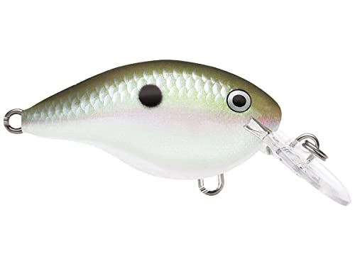 Dives-to 10 Green Gizzard Shad