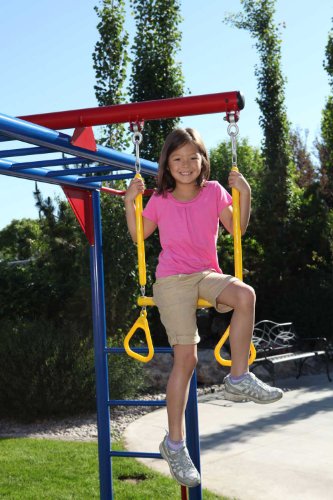 Lifetime Monkey Bar Adventure Swing Set, Primary Colors