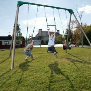 Lifetime 290038 Heavy Duty A-Frame Metal Swing Set, Earthtone