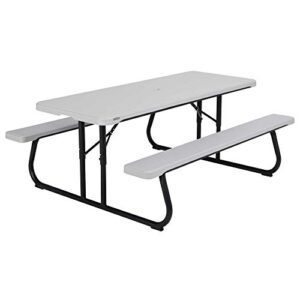 lifetime 260265 6-foot classic folding picnic table, gray