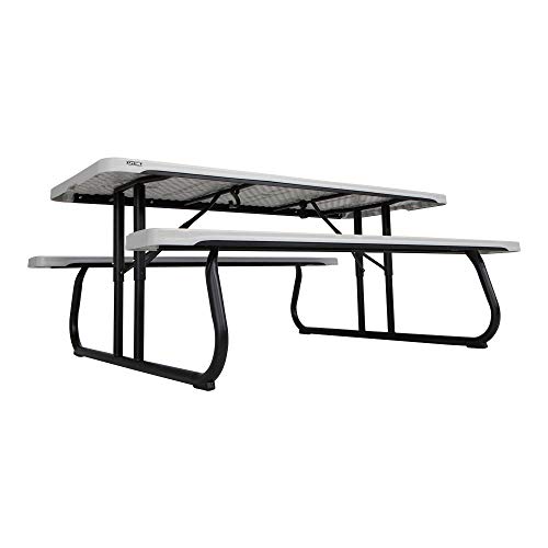 Lifetime 260265 6-Foot Classic Folding Picnic Table, Gray