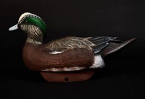 lifetime decoys hydrofoam wigeon 6 pack – light as a feather – lasts forever