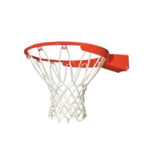 lifetime slam-it pro basketball rim, 18 inch