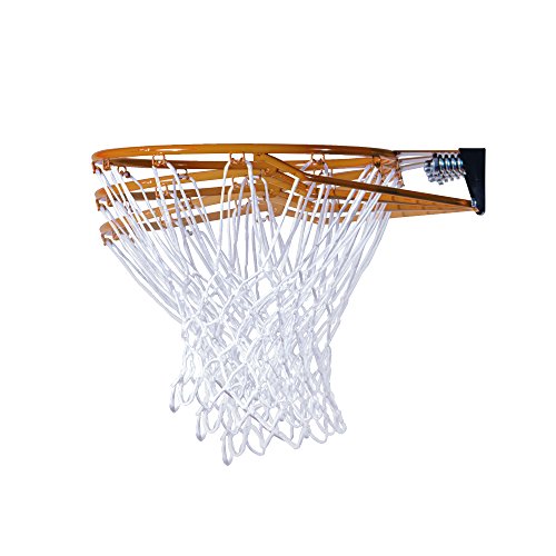 Lifetime 71546 Portable Basketball System, 44 Inch Shatterproof Backboard