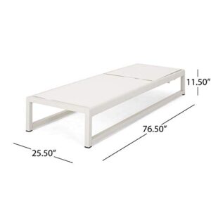 Christopher Knight Home Eudora Outdoor Chaise Lounge (Set of 2), White