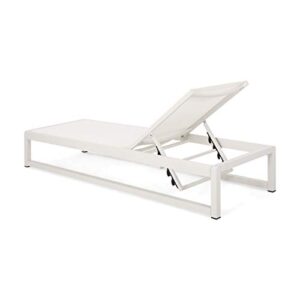 Christopher Knight Home Eudora Outdoor Chaise Lounge (Set of 2), White