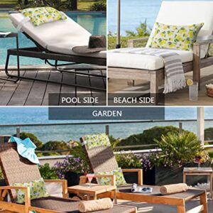 Recliner Head Pillow Ledge Loungers Chair Pillows with Insert Summer Farm Rustic Yellow Lemon Lumbar Pillow with Adjustable Strap Outdoor Waterproof Patio Pillows for Beach Pool Chair, 2 PCS