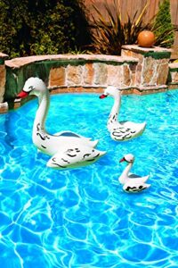 poolmaster 81411 floating swimming pool backyard décor, 3 pack, swan family