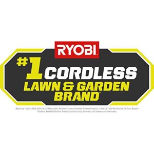 Ryobi 40-Volt Lithium-Ion 6.0 Ah High Capacity Battery