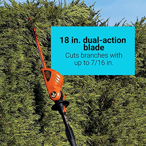 BLACK+DECKER 20V MAX* POWERCONNECT 18 in. Cordless Pole Hedge Trimmer, Tool Only (LPHT120B)