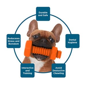 BLACK+DECKER Squeaker Dog Chew Toy Durable Teeth-Cleaning,Tough Almost Indestructible for Small, Medium & Large Dogs, Interactive & Tough Non-Toxic Natural Rubber Chew Toys, 6.5" Rubber Bolt, Orange