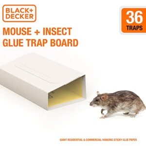 BLACK+DECKER Mouse Trap & Fly Trap- Mouse Traps Indoor for Home- Pest Control Sticky Traps & Spider Traps- Pre-Baited Glue Traps for Mice, Spiders, Cockroaches and Other Insects, 36 Pack