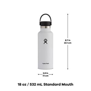 Hydro Flask 18 oz Standard Mouth with Flex Cap Stainless Steel Reusable Water Bottle Dew - Vacuum Insulated, Dishwasher Safe, BPA-Free, Non-Toxic
