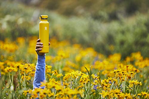 Hydro Flask Silicone Flex Boot - Small, Sunflower