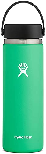 Hydro Flask Water Bottle - Stainless Steel & Vacuum Insulated - Wide Mouth 2.0 with Leak Proof Flex Cap - 20 oz, Spearmint