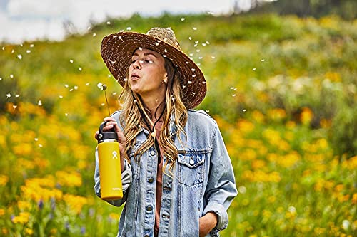 Hydro Flask Water Bottle - Stainless Steel & Vacuum Insulated - Wide Mouth 2.0 with Leak Proof Flex Cap - 20 oz, Spearmint