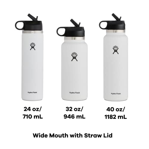 Hydro Flask 32 oz Wide Mouth Straw Lid Snapper & 12 oz All Around Tumbler Snapper