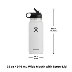Hydro Flask 32 oz Wide Mouth Straw Lid Snapper & 12 oz All Around Tumbler Snapper