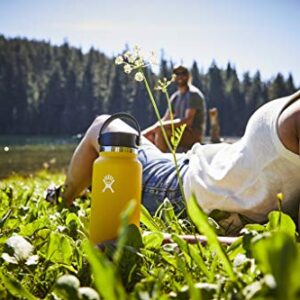 Hydroflask, Wide Flex Cap Stone