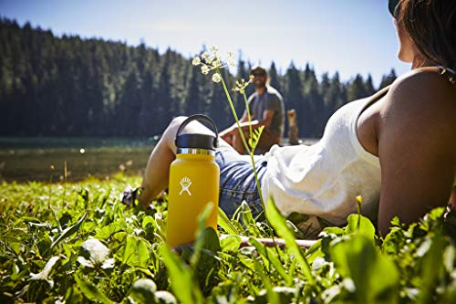 Hydroflask, Wide Flex Cap Stone