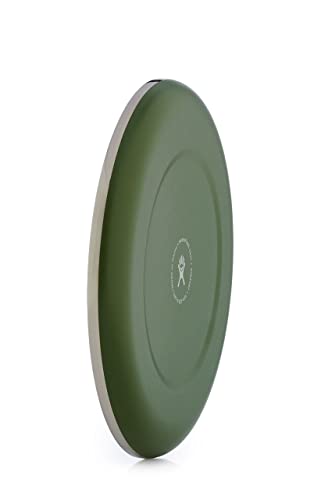 10 Inch Plate Olive
