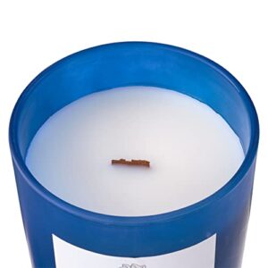 Michaels Bulk 8 Pack: Blue Cedar & Fig Wooden Wick Jar Candle by Ashland®