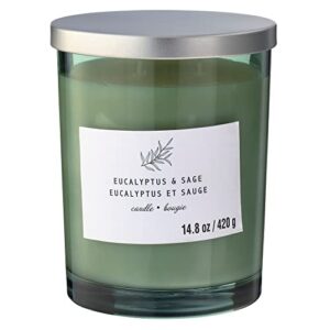 michaels bulk 8 pack: eucalyptus & sage 2-wick jar candle by ashland®