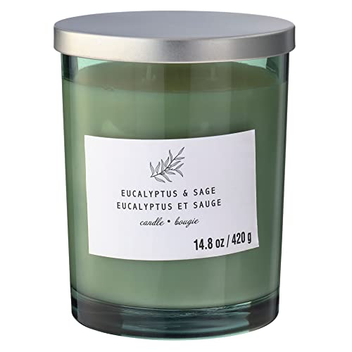 Michaels Bulk 8 Pack: Eucalyptus & Sage 2-Wick Jar Candle by Ashland®