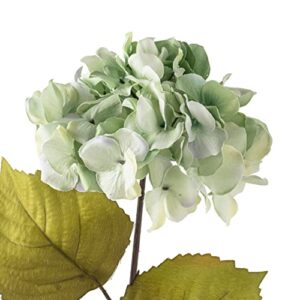 Ashland Michaels Sea Foam Green Hydrangea Stem