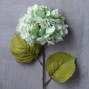 Ashland Michaels Sea Foam Green Hydrangea Stem