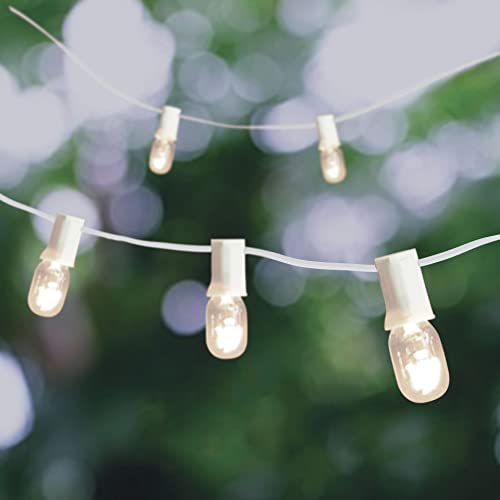 Ashland Michaels 20ct. Creative Collection™ Shimmer Lights Vintage Edison String Lights