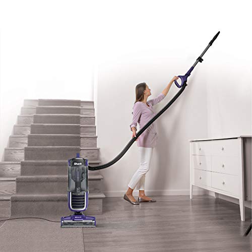 Shark Navigator Swivel Pro Complete Upright Vacuum NV150 Lift-Away Corded Bagless Vacuum for Carpet and Hard Floor , Anti-Allergy (Renewed)