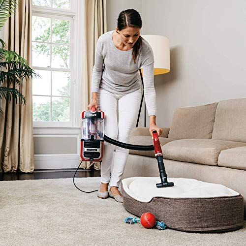 Shark Navigator Upright Vacuum with Lift-Away, Zero-M Anti-Hair Wrap Technology, Anti-Allergen + HEPA Filter and Swivel Steering (ZU561), Red Peony (Renewed)