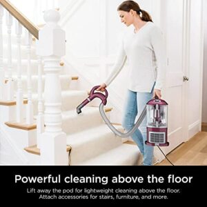 Shark CU520 Navigator Lift-Away XL Upright Vacuum Multi Surface Floor Cleaner with Crevice Tool, Purple