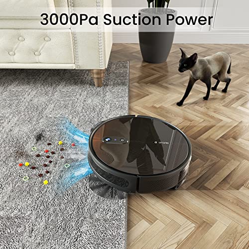 Robot Vacuum Self Emptying and Mop Combo, Robotic Vacuum Cleaner with Automatic Dirt Disposal, Visual Navigation, Smart Mapping, 3000Pa Suction, Ideal for Pet Hair, Carpets, Hard Floors